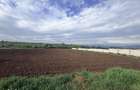 Targu Neam? - Str. Valea Seaca: Teren intravilan, asfalt, utilita?i - 8
