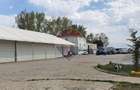 Spațiu industrial hala depozit de inchiriat Glina Centura Bucuresti - 6
