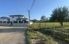 Teren de vanzare Bistrita 40 ari (4000mp) - 3