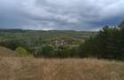 Casa la munte in Vizantea Manastireasca 2.000 mp teren, parau si padure - 6