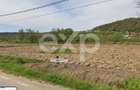 Teren intravilan 21.000 mp de vanzare Suseni, Comuna Bogati, Judet - 12