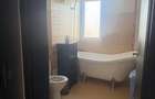 2 Camere Podul de Fier - 5