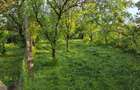Casa cu 4 camere, mobilata, Mosteni, 35000 EUR - Mosteni (Teleorman) - 3