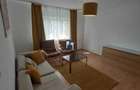 Inchiriere Apartament 3 Camere Decomandat Brancoveanu-Paduroiu - 4