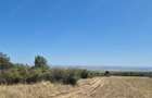 Vand teren extravilan 3 ha Livada Mare, Comuna Grebanu, jud Buzau - 2
