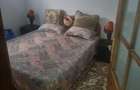 Inchiriez apartament la casa / curte - 8