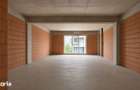 Centru Comercial, Spatii Comerciale de Inchiriat - Pacurari