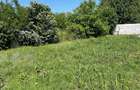 Teren intravilan 500 mp | Mihai Voda | Deschidere 17 m | 20.000 - 5