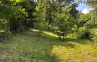 Casa de vânzare în Galeș, Mărginimea Sibiului - teren 685 mp - 16