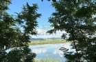 Casa cu teren de 1.651 mp si iesire directa la lac | Feldioara, Brasov - 6