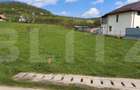Teren Intravilan ideal pentru constructie case sau investitie in timp - 3