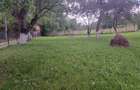Teren (2400mp)de vanzare in Galda de Jos- Benic - 8