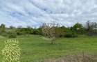 Teren 5000 mp-ideal investitie-Ghinda - 5