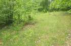 Teren 1000m2 in Breaza, jud. Prahova, strada Lazului - 3