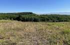 Teren intravilan sat Cuied Zona de Vis