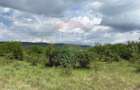 Teren de vanzare 13783mp, front la DN, parcela unica zona de vest - 9