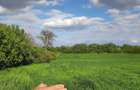 Teren de vanzare - Satu Mare - 9