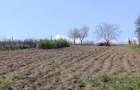 Casă cu Teren 10000 Mp în Ionășeni (Trușești) - 10