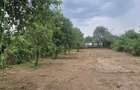 Teren Intravilan - GIOSENI, Bacau - 5