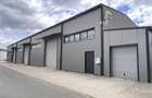 Hala moderna / Productie / Depozitare / Show-room - 3