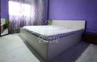 Apartament de inchiriat 2 camere 300 euro zona Miorita - 2