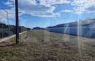 Teren de inchiriat, 1040 mp, zona Vest - Calea Campulung - 4