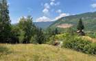 Teren de 4534 mp, în Câmpu lui Neag - 1