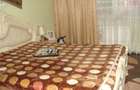 Ap 3 cam gara 80mp ct term mob renovat - 7