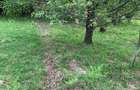 Teren rural de vanzare - electricitate ?i apa - 2