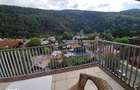 Apartament cu vedere la munte