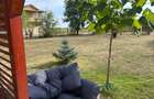 Vanzare teren si casa de vacanta - 4