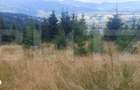 Teren extravilan de vanazre, 42.152 mp, zona Saru Dornei - 1