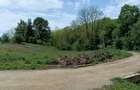 Intravilan Tiparesti, relaxare aproape de padure - 5