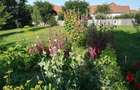 De vanzare casa de weekend - 5
