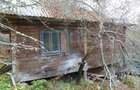 Casa + 4,4 ha (arabil, pa?une, padure), Scari?oara, Alba - 9