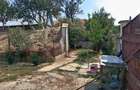 Casa de vanzare in Uileacul de munte cu doua cladiri in curte - 3