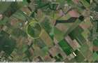 AFUMATI - Consultech Calipso, 30.700 mp. teren agricol, ideal investitie - 4