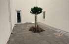 Apartament cu 2 camere Giroc Braytim