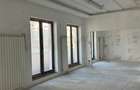 Spatiu Comercial I Pache Protopopescu - 5