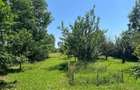 Casa de vacanta 4 camere | livada 2317mp | Cornu de Jos, Prahova | 1h - 12