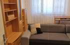Proprietar,ofer apartament spre inchiriere in Timisoara - 5