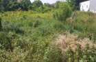 Teren de 3000 mp, în Bucov - 1
