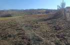 Parcela de pamant 800mp2, intravilan, in sat Armeni, jud. Sibiu - 7