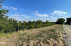 Teren Intravilan 1.384 mp Potential Turistic si Rezidential - 4