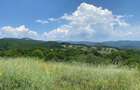 Teren extravilan de vanzare,suprafa?a de 4074mp,situat intre Domne?ti ?i Musetesti,jude?ul Arges - 5