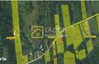 Teren Intravilan-Ideal Investitie-Podis,Margineni,Bacau