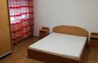 Se inchiriaza apartament 2 camere zona Turnisor - 4