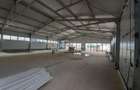 Hale cu suprafete intre 100-560mp in zona Drumul Intre Tarlale - 1