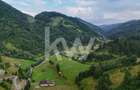 Teren de vanzare RUCAR -   ARGES - 5
