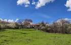 Casa la munte Buzau Valea Roatei Cozieni 1500 mp - 3